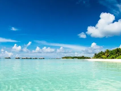 Island Tranquility: Breath, Relax, Reconnect