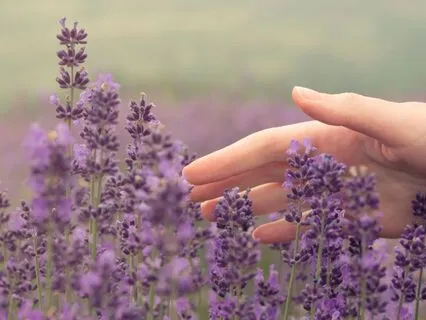 Isn’t It Wonderful Affirmations |Shift Into Softness & Peace