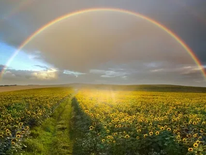 Isn't It Wonderful ~ Everything Is Working Out For Me 