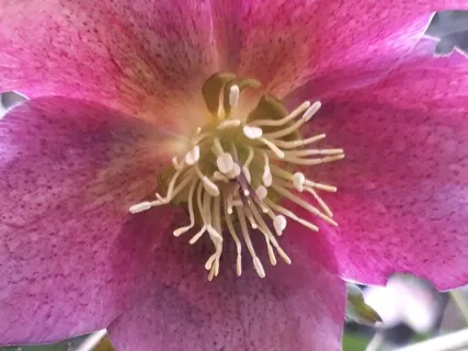 Isochronic 20Hz Finest Attention