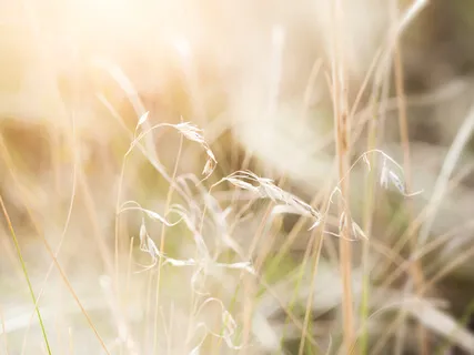 Isochronic Tone 1Hz Guitar Meditation