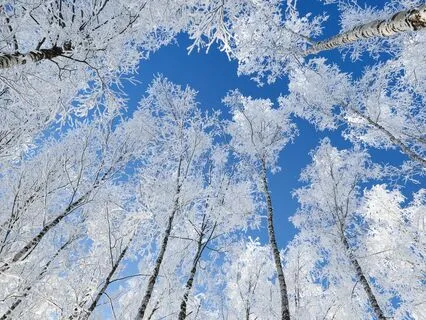 Isochronic Tones: Alpha Waves (Mind​/​Body Connection)