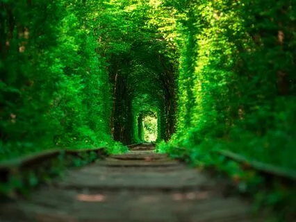 Isochronic Tones: Brain Synchronizer (Super Consciousness)