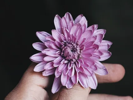 Исполнение Желаний