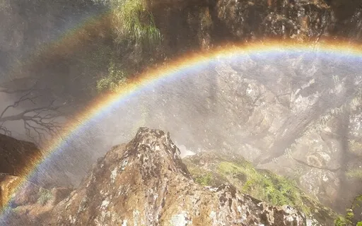 Исцеляющий Свет