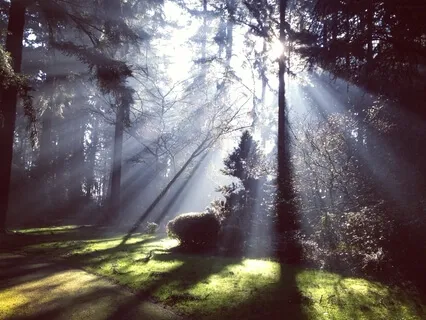 Исцеляющие Аффирмации для Души. Полное Принятие