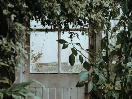 Исцеление от Негативных Эмоций