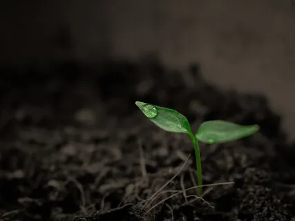 It Comes Down To Choice