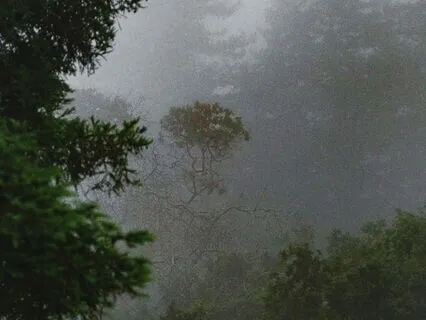 It Happens On Its Own (Guided Meditation With Music)