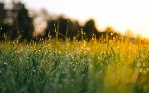 It Is Morning - A Reflection