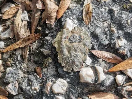 It Is Never Too Late To Awaken