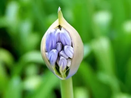 It Is Only In Your Silence Do You Hear Truth