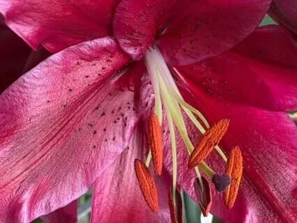 It Is Our Divinity That Understands Our Human Self