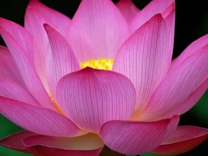 It Is Possible To Choose Our Emotions