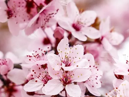 It Is Time To Play Again - Inner Child Guided Meditation 