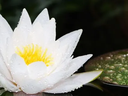 It Is What It Is: Finding Freedom In The Truth Of Now