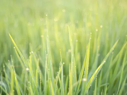 It Just Doesn't Matter