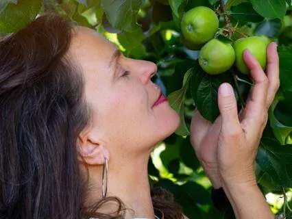 The Heroines Journey Part 6: Finding Your Allies