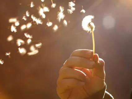 It Might Have Been | Song Medley