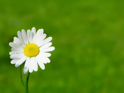 It's A Beautiful Day