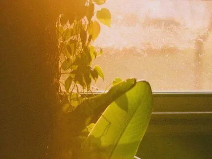 It’s A Beautiful Thing: A Practice Of Gratitude