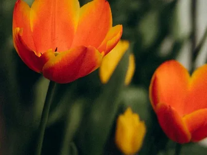 It's All About Love- March 10