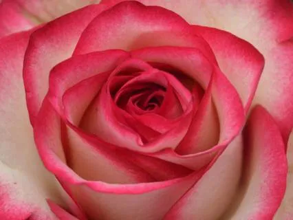 IT´s All Choreographed