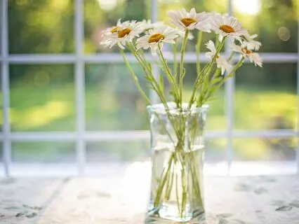 It's Going To Be A Beautiful Day