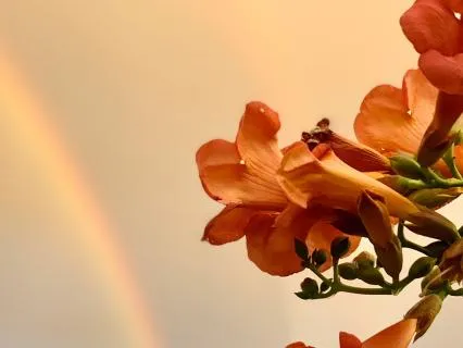 It’s Going To Be Okay