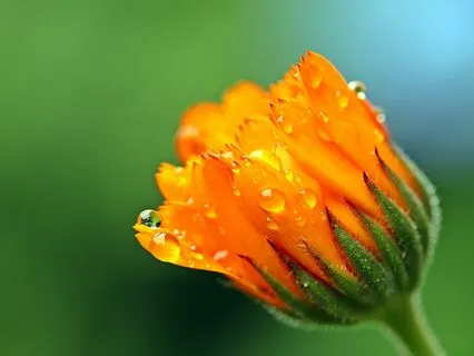 It's happening - Flowing guitar music