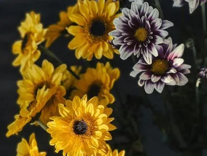 It's In Me... Affirmations