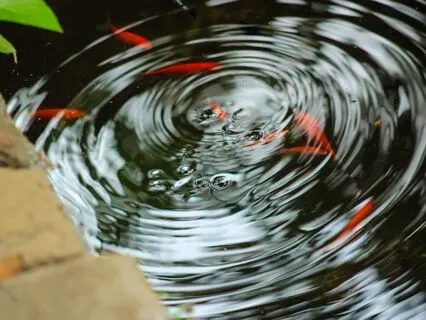 It's In The Vibrations, Simply Receive! 432 Hz + 528 Hz