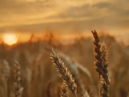 It's Not Just A Breath