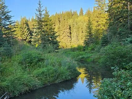 It's Not My Problem Mantra Repeated