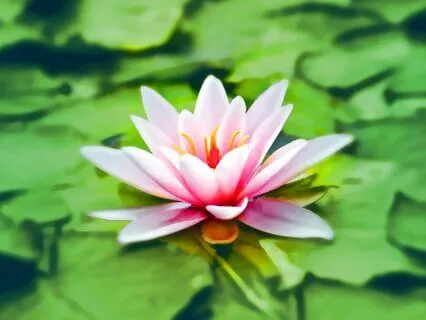 It's OK to Slow Down Meditation