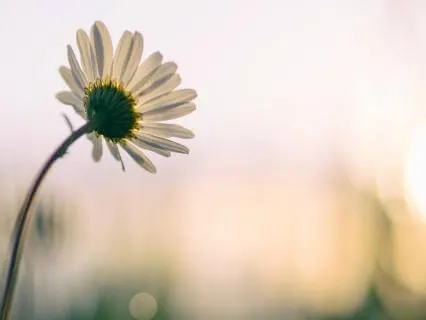 It's Okay - Self-Soothing For Anxiety
