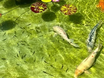 It's Okay to Not be Okay