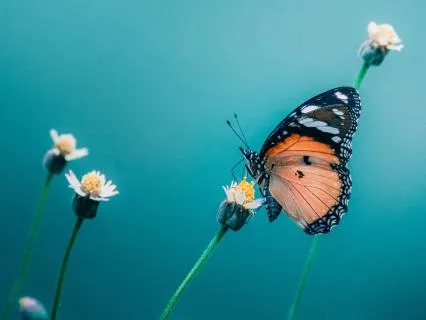 It's Okay To Not Be Okay