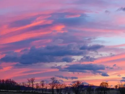 It Takes A Long Time To Grow Young: Nurturing Contentment