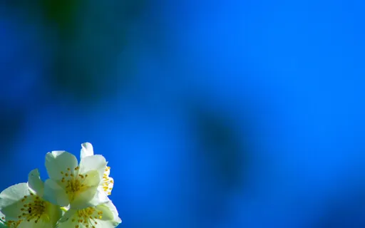 It Will Manifest In Due Time