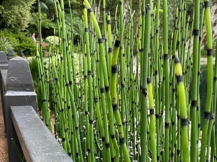 It's A Great Day To Create Happy!