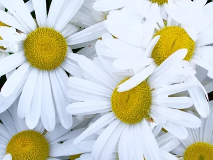 It’s All Going To Be OK