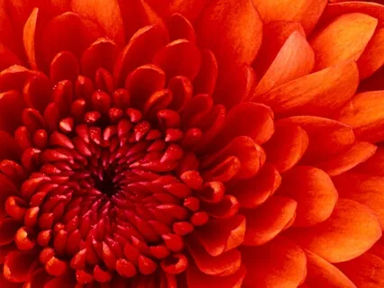 It's 'Create Your Own Affirmation' Day!