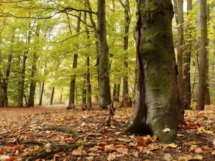 It’s Happening For Your Highest Good