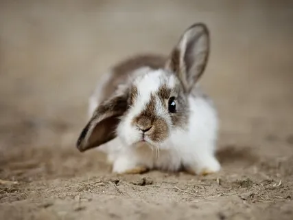 It's Me, Not You. Is It Really?