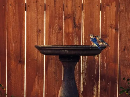 It's Not a Journey, It's a Hot Bath