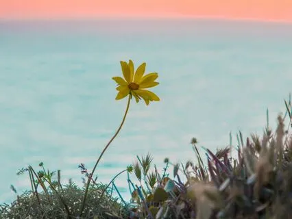 It's Not The End, It's Just The Beginning | EFT Tapping