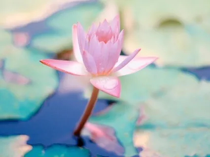 It's Okay To Be Afraid (What Is Now? Podcast)