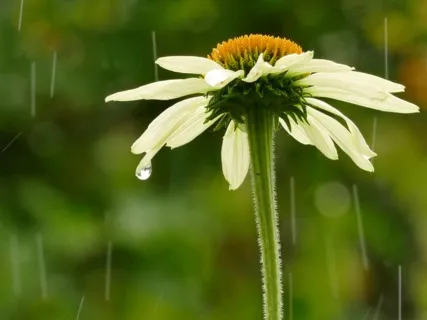 It's Okay To Be Happy When Other's Are Not