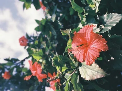 It’s Okay To Smile 